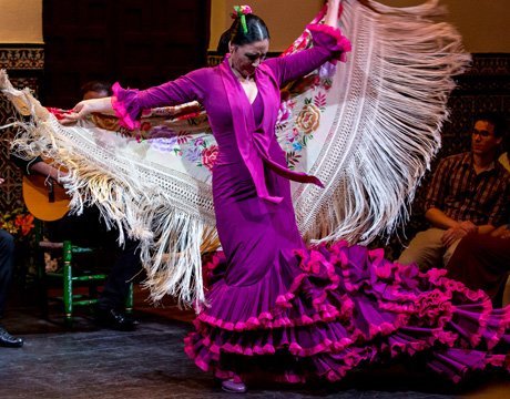Espectculo Flamenco (La casa del Flamenco)