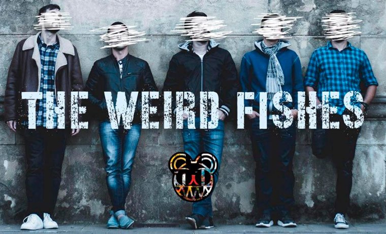 THE WEIRD FISHES