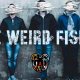 tributo  a Radiohead. THE WEIRD FISHES