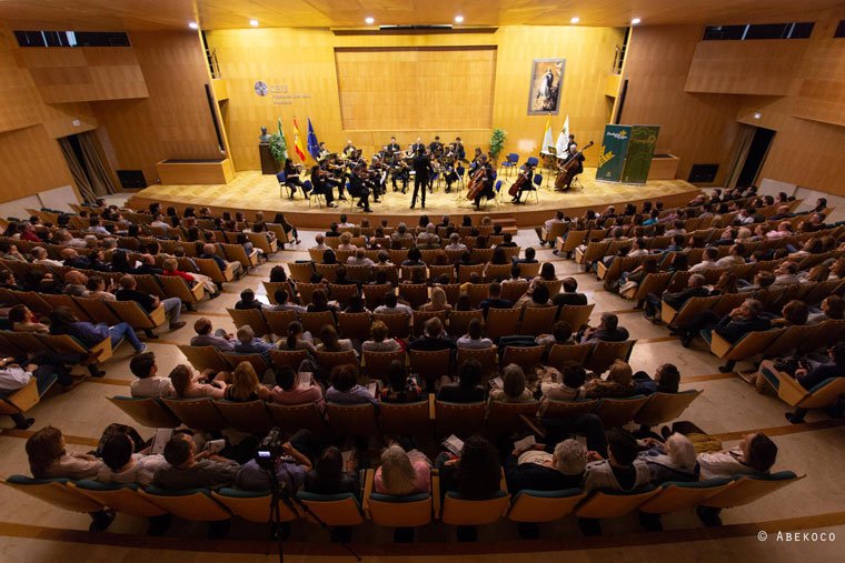 Orquesta de Cmara de Bormujos