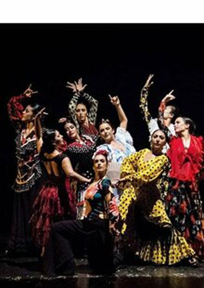 Gala de Formacion Profesional FlamencoDanza