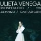 Vernos De Nuevo - Tour. Julieta Venegas