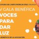 V Gala Benéfica «Voces para dar luz».. Estudio de canto organiza Patricia Díaz