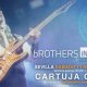 THE LAST TOUR OF DIRE STRAITS. Brothers in Band