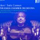 Bolero / Suite Carmen � Lithuanian Chamber Orch. 
