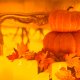 Conciertos Candlelight en Sevilla 2026. Los Cl�sicos del Halloween. 