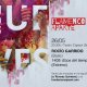 Flamenco Aparte. Roc�o Garrido