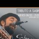 SABINEANDO EN LA TREGUA (TRIBUTO A SABINA). 