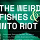 THE WEIRD FISHES / INTO RIOT. 