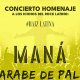 Tributo a Los Rodr�guez, Jarabe de Palo y Man�. 