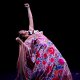 FLAMENCO PATRIMONIO. Ballet Flamenco de Andaluc�a