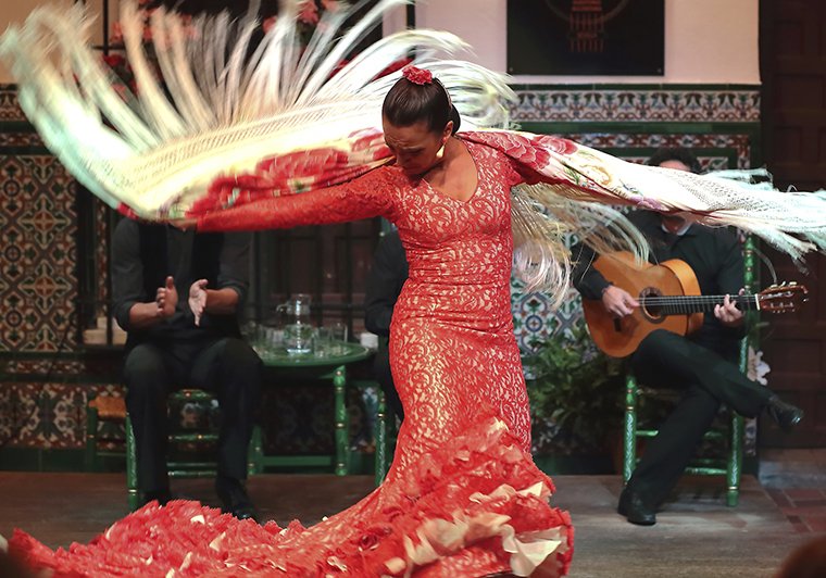 La casa del Flamenco