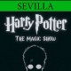 Harry Potter - The Magic Show