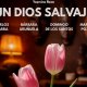 Un dios salvaje