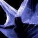formaS