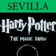 Harry Potter - The Magic Show