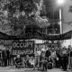 Occupy Bernarda